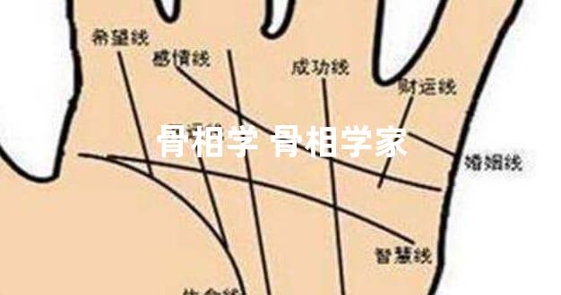 骨相学 骨相学家